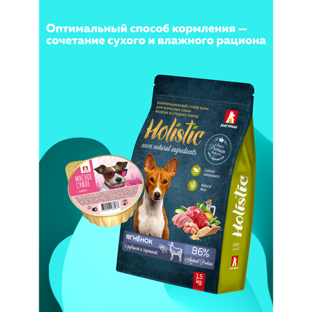 Корм влажный Зоогурман Мясное суфле с Языком 100 г х 20 шт