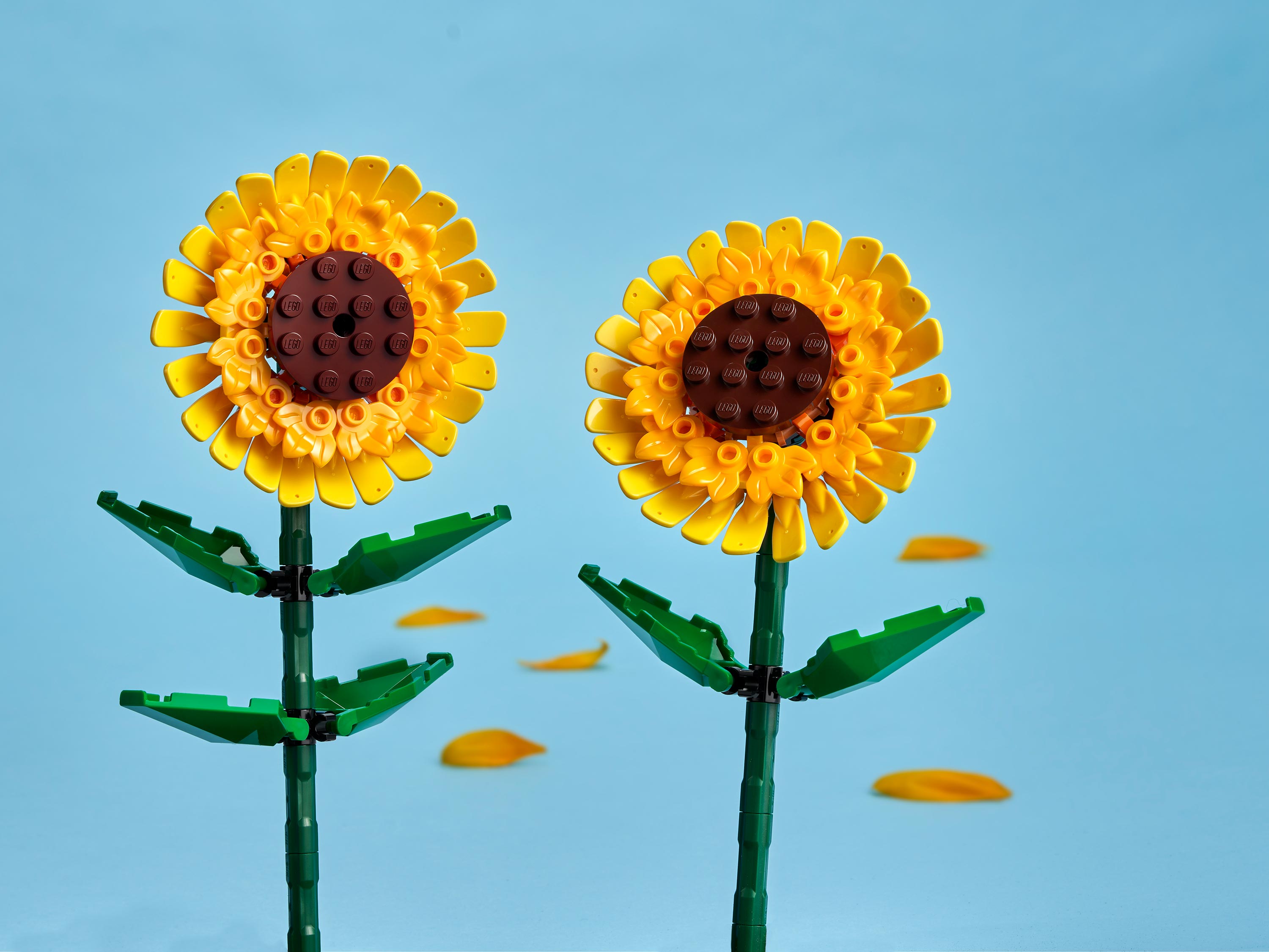 Конструктор LEGO Botanicals Сувенирный набор 191 дет. - фото 8