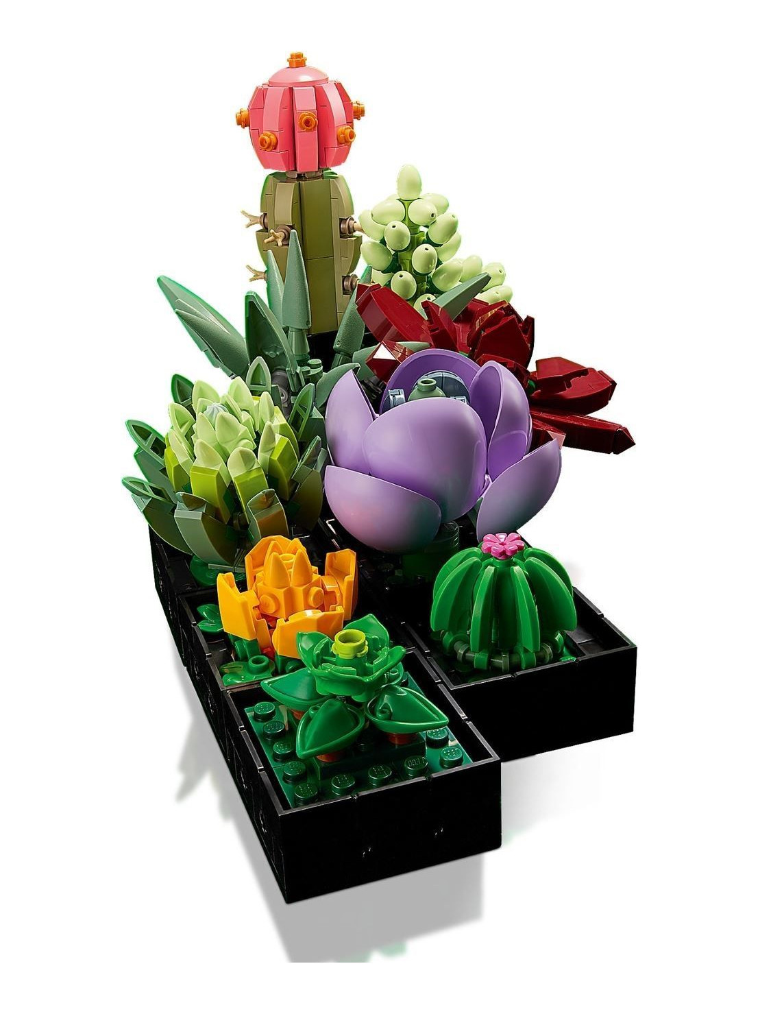 Конструктор LEGO Icons Суккуленты 771 дет. - фото 4