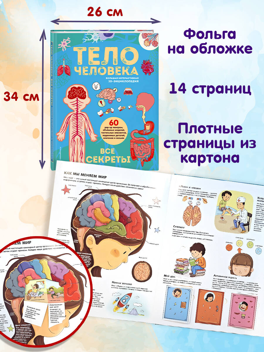 Книга Эксмо Тело человека Все секреты 3D - фото 5