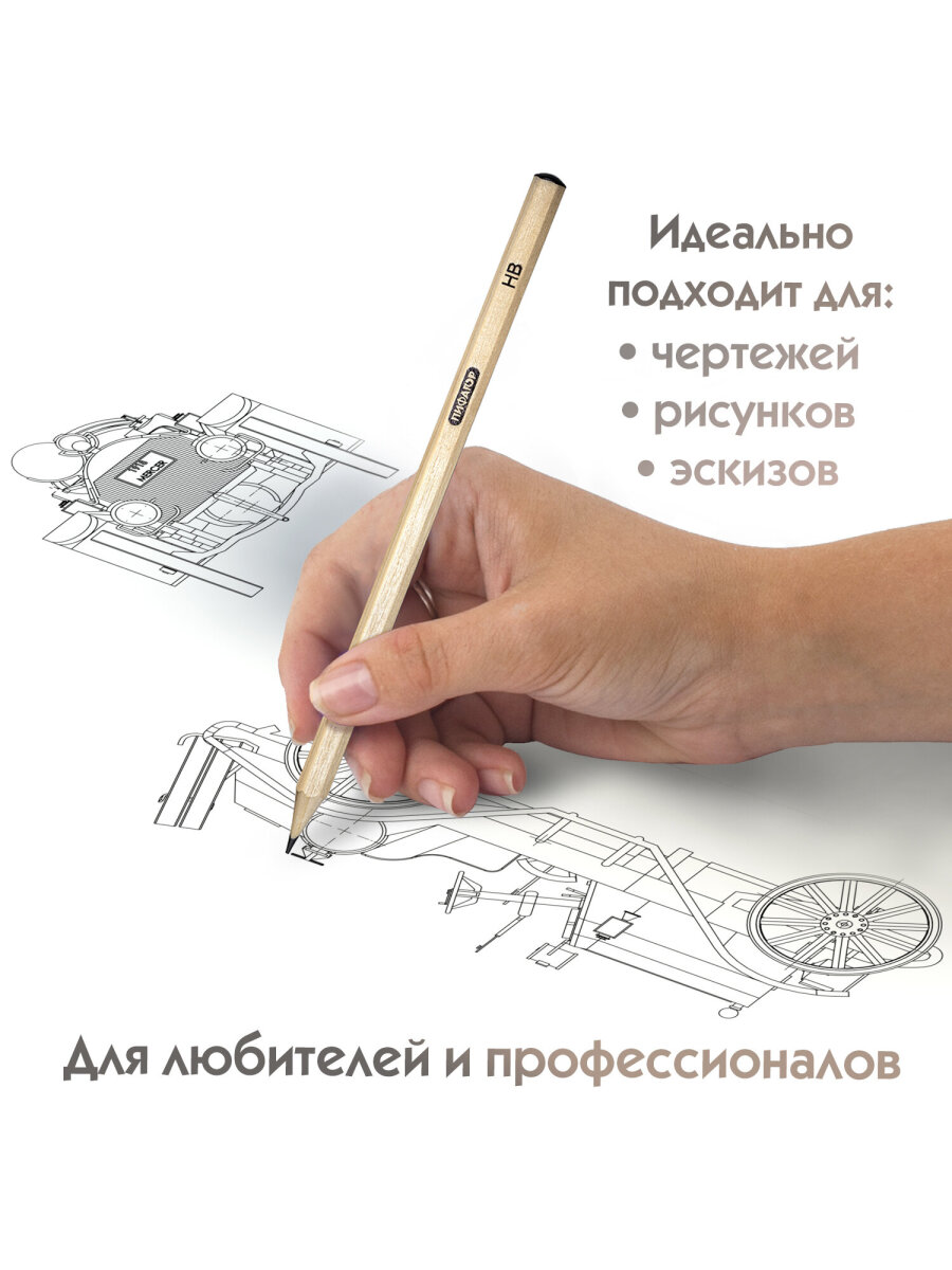 Карандаши чернографитные Пифагор 12 шт. - фото 4