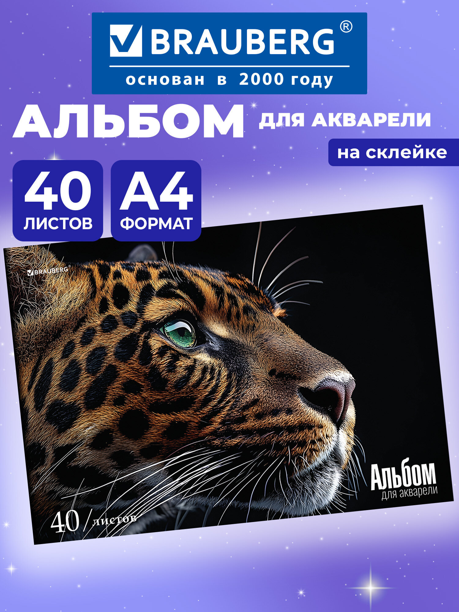 Альбом Brauberg А4 40 лист. - фото 1