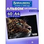 Альбом Brauberg А4 40 лист.