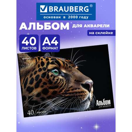Альбом Brauberg А4 40 лист.