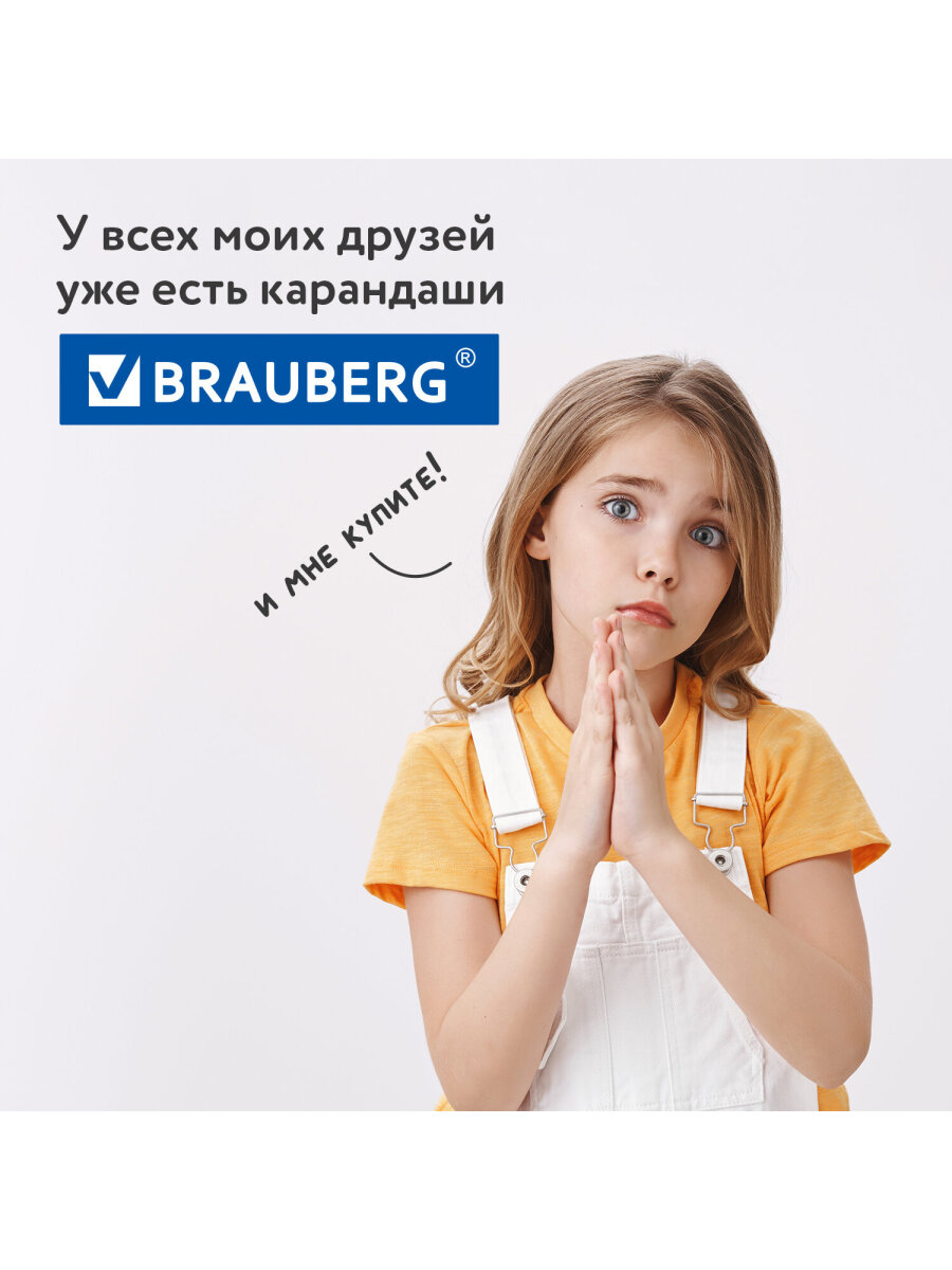 Карандаши акварельные Brauberg 24 шт. - фото 18