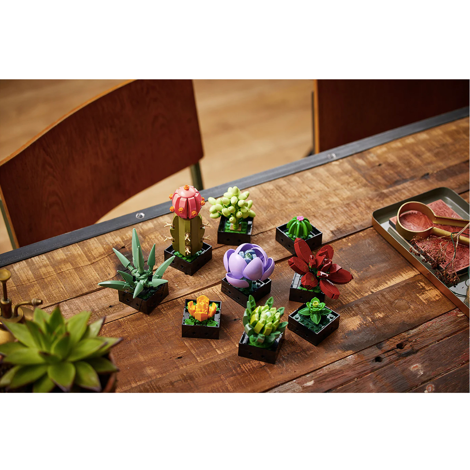 Конструктор LEGO Botanicals Кактусы 771 дет. - фото 14