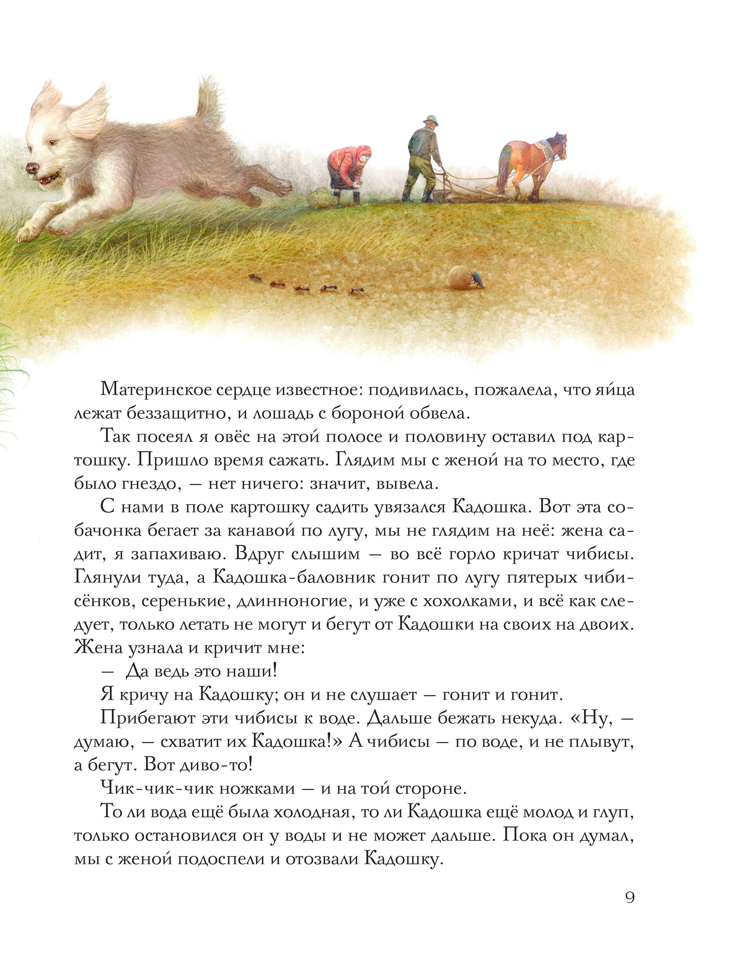 Книга Эксмо Золотой луг. Рассказы о животных (ил. Дударенко) - фото 8