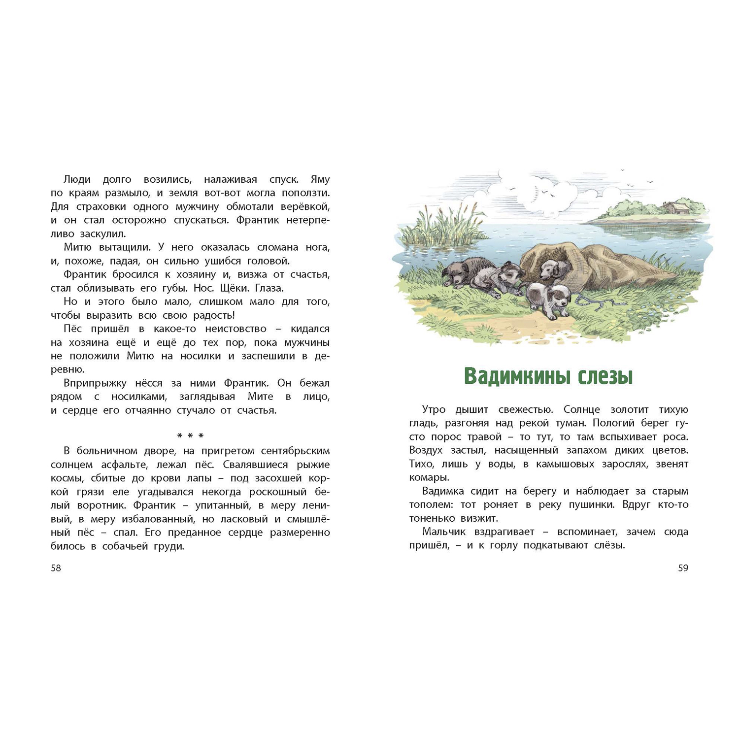 Книга ЭНАС-КНИГА Сердце друга Рассказы для детей - фото 12