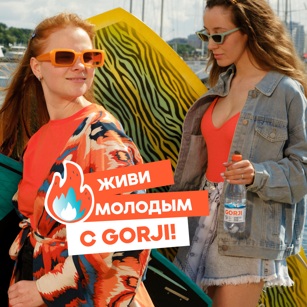 Минеральная вода GORJI природная газированная 0.5 л ПЭТ 12 шт. - фото 9