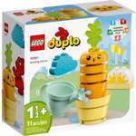 Конструктор LEGO DUPLO 10981 11 дет.