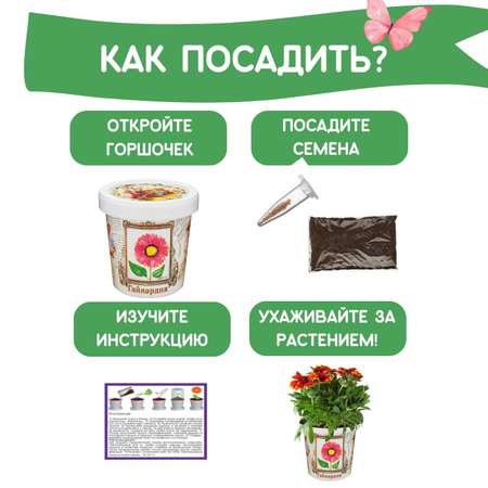 Набор для выращивания Rostok Visa