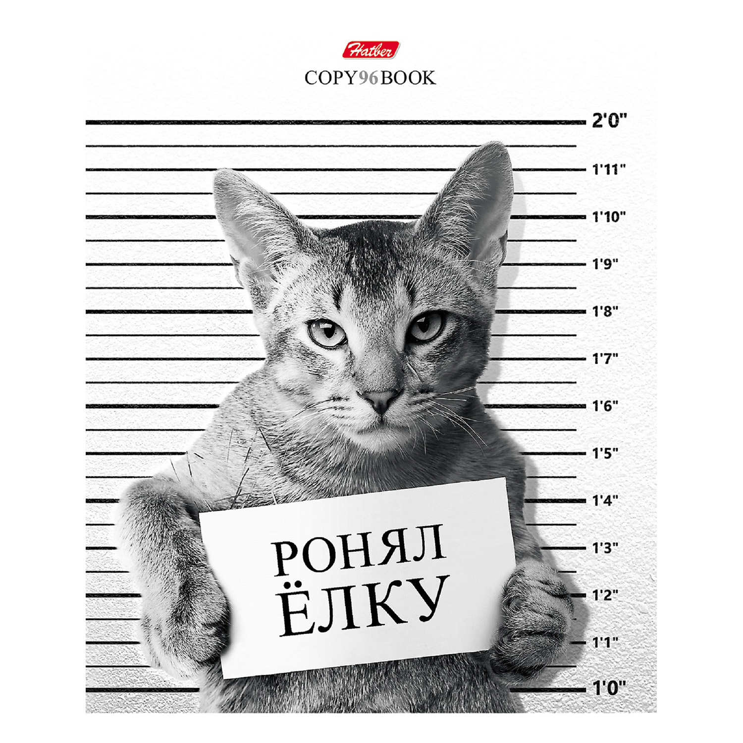 Общая тетрадь Hatber клетка 96 лист. в ассортименте - фото 6