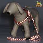 Комплект для собаки Пижон «Плетенка» флюорисцентный поводок 115 х 1 см и шлейка 32-48 см оранжевый