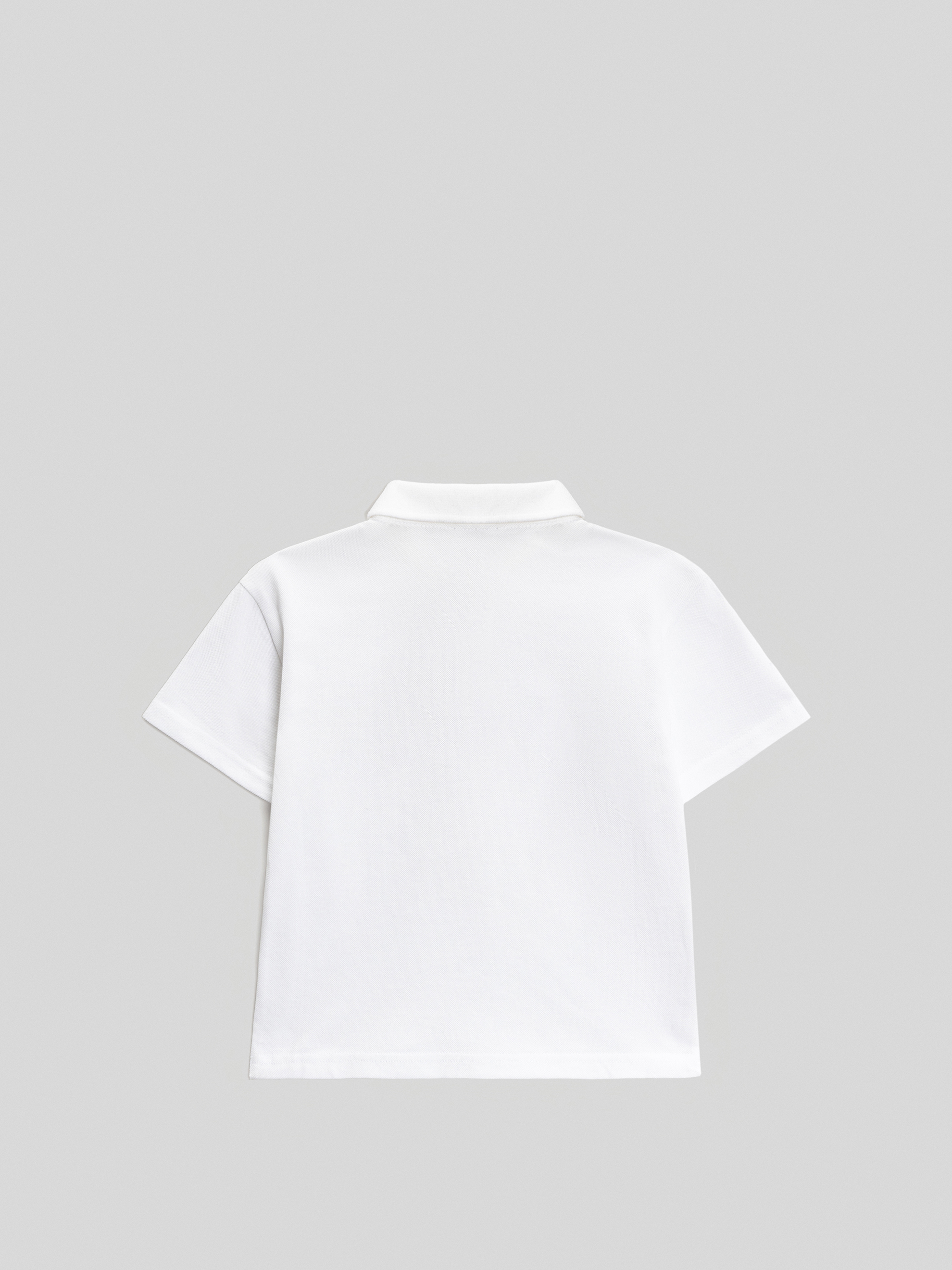 Футболка-поло Acoola 20120490012_0095326 - фото 4