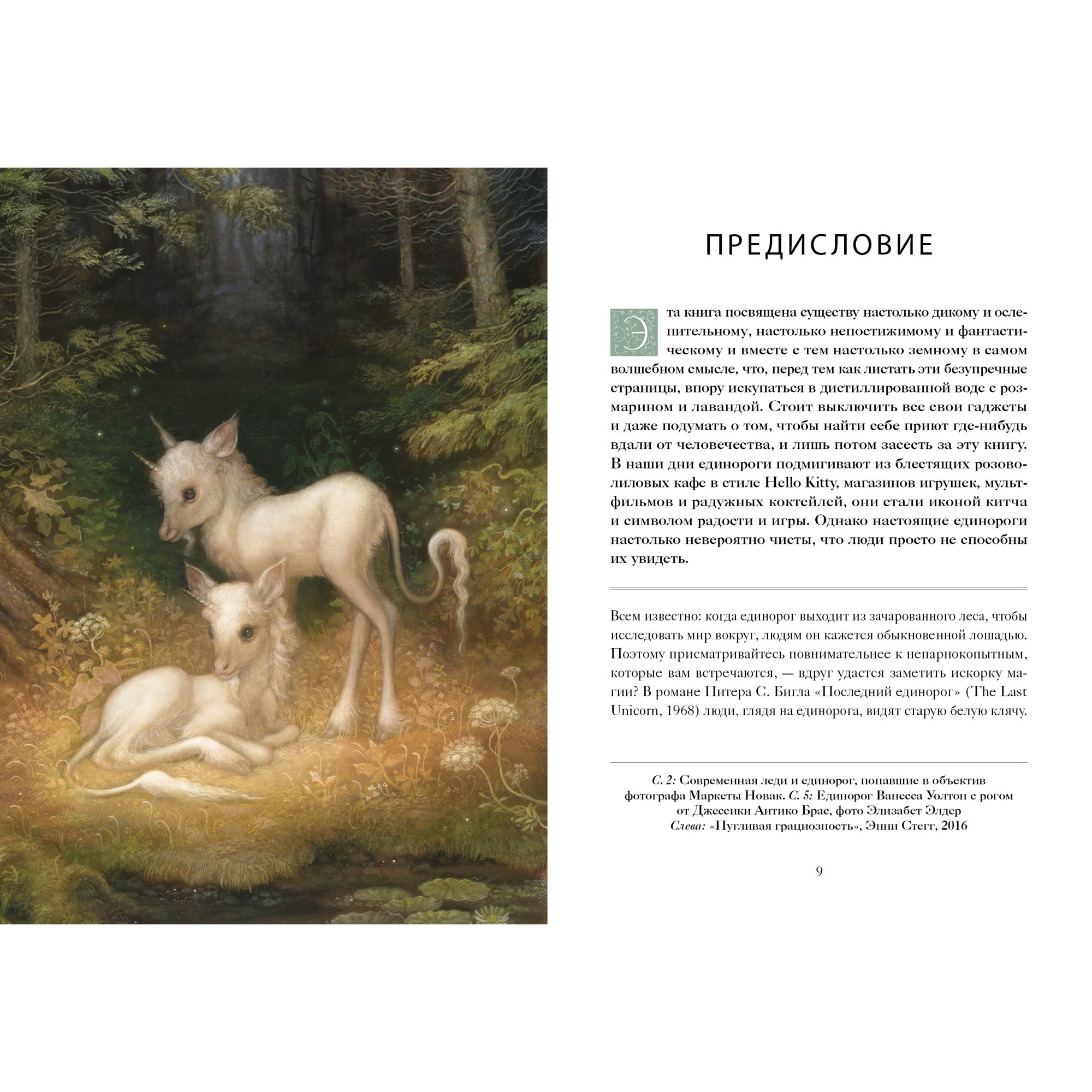 Книга КОЛИБРИ Книга Единорогов. Волшебный путеводитель - фото 3