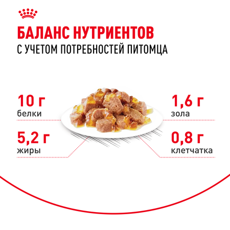 Корм для кошек ROYAL CANIN Ageing 85гр для пожилых 12+ желе пауч