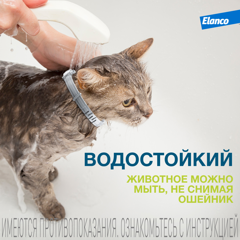 Ошейник для кошек Elanco Foresto от блох и клещей защита 8месяцев 38см 65232 - фото 8