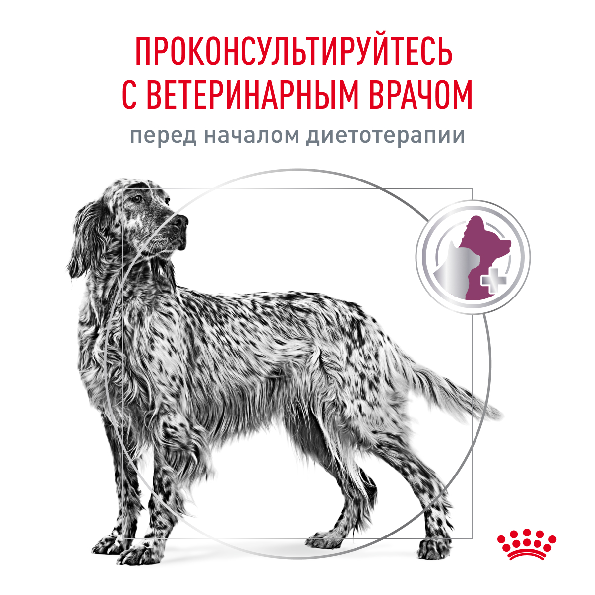 Корм для собак ROYAL CANIN Renal при почечной недостаточности 14кг - фото 8