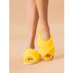 Тапочки IVShoes
