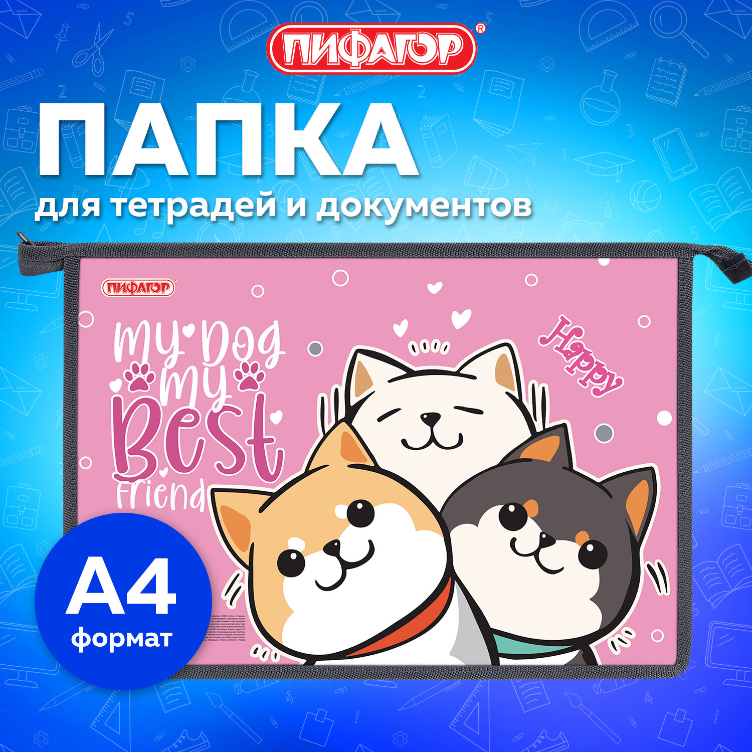 Папка для тетрадей Пифагор А4 - фото 1