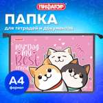 Папка для тетрадей Пифагор А4