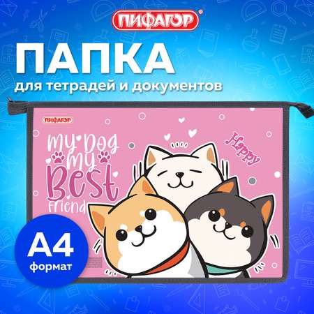 Папка для тетрадей Пифагор А4