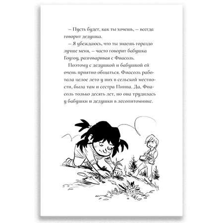 Книга Городец Фиасоль никогда не сдаётся