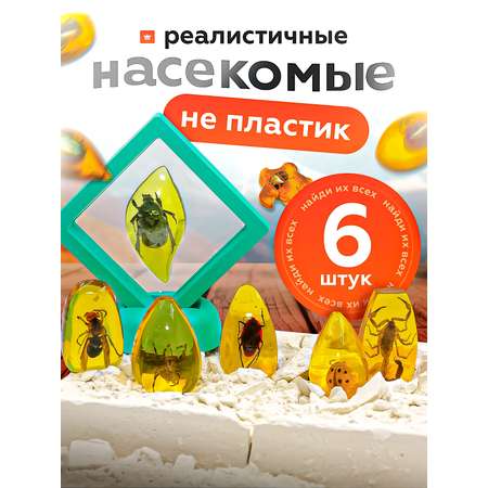 Набор для раскопок SHARKTOYS Насекомые в янтаре