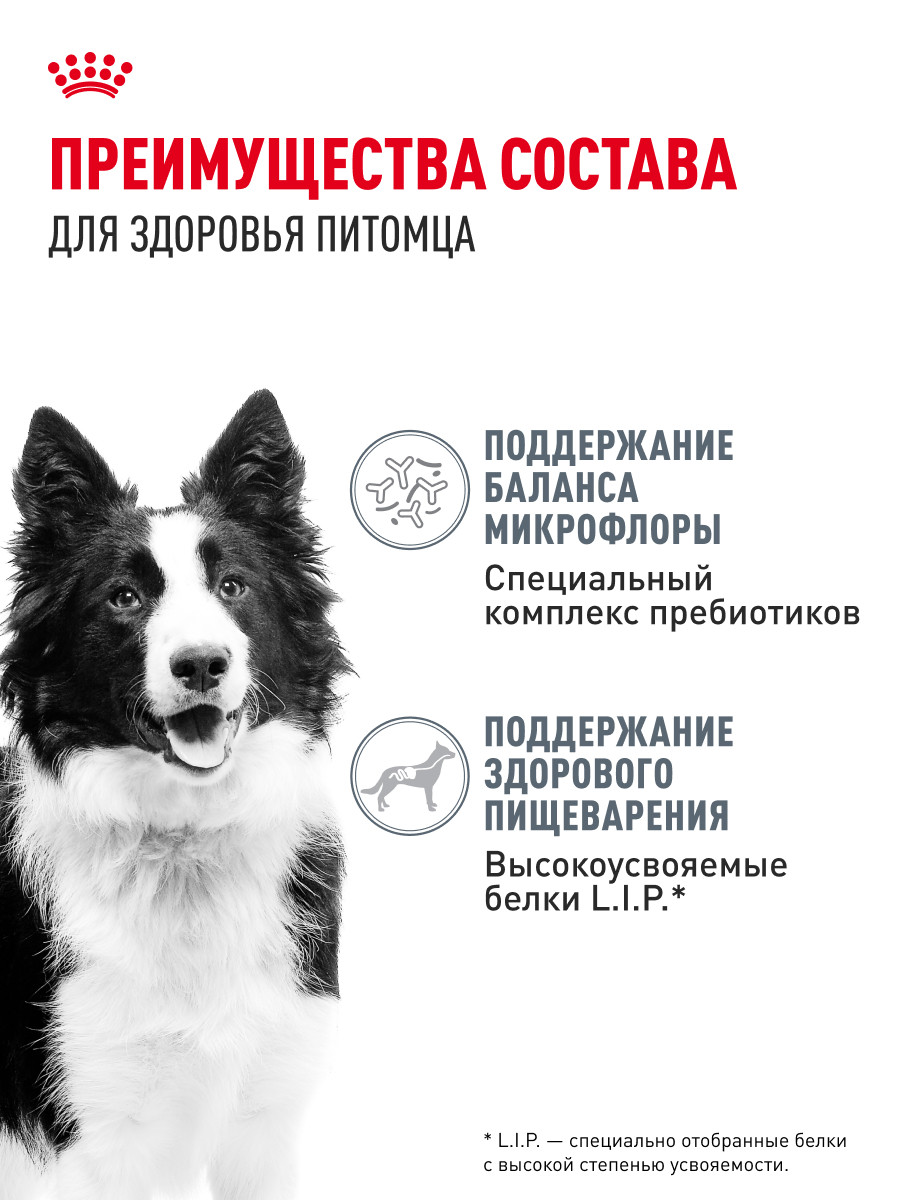 Корм для собак Royal Canin 12кг Medium Digestive Care cредних сухой - фото 3