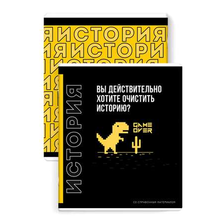 Тетрадь Феникс + 48 лист. 1 шт. (История)