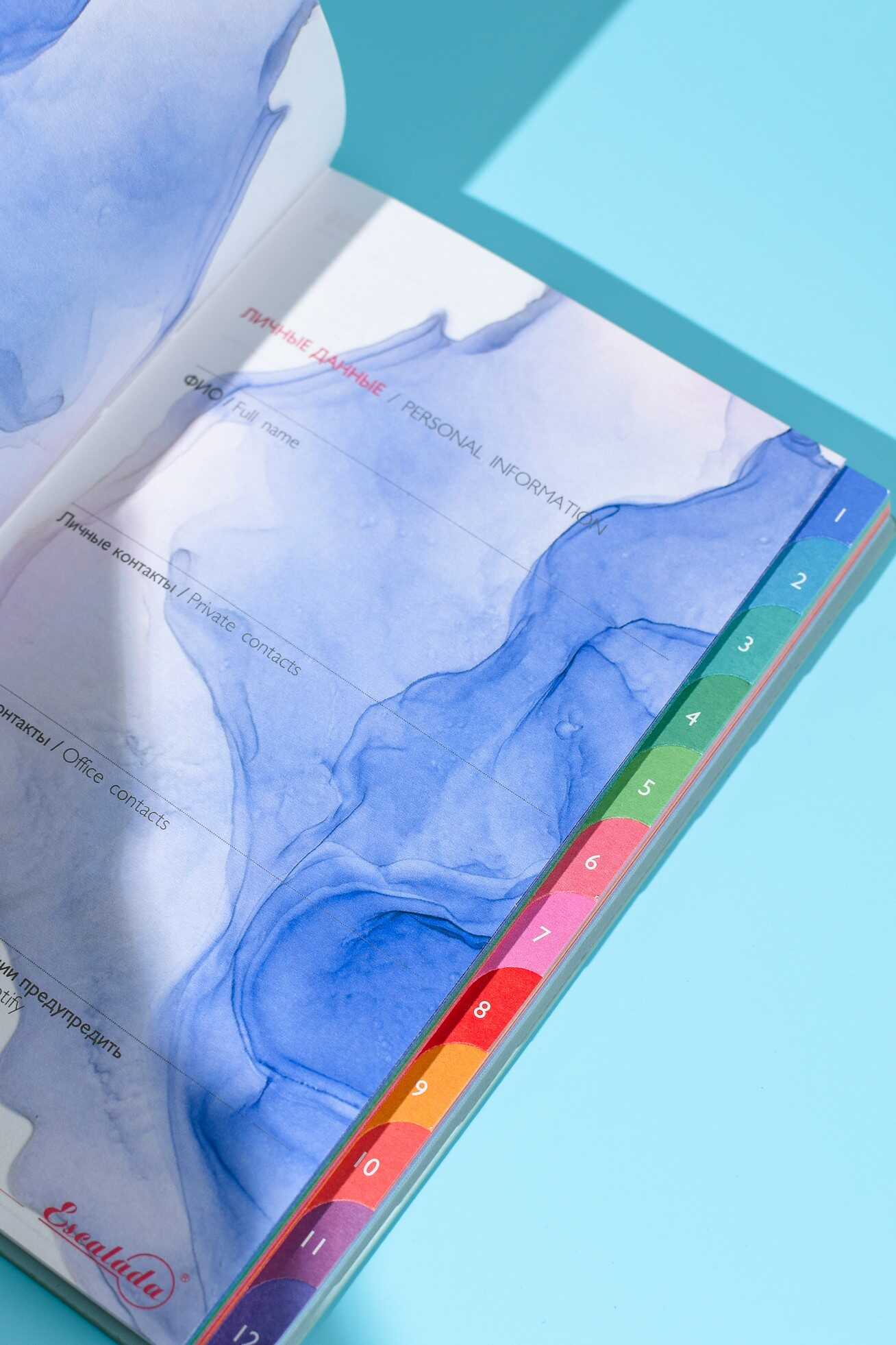 Ежедневник Феникс + ESCALADA 96 лист. - фото 20