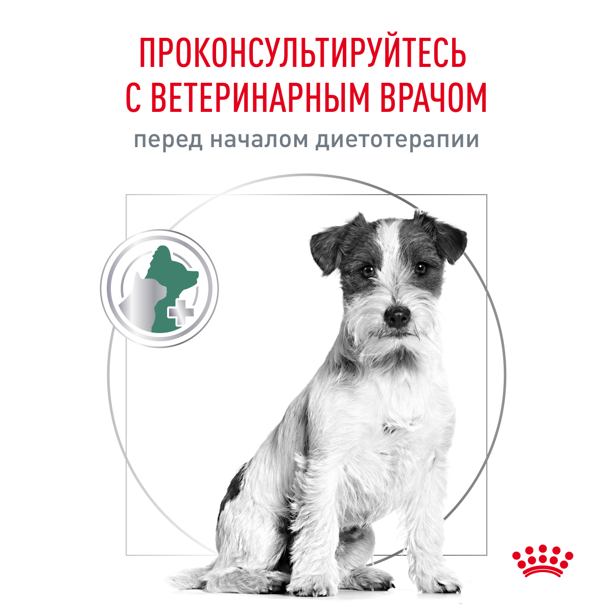 Корм для собак Royal Canin 500г мелких пород полнорационный для снижения веса сухой - фото 9