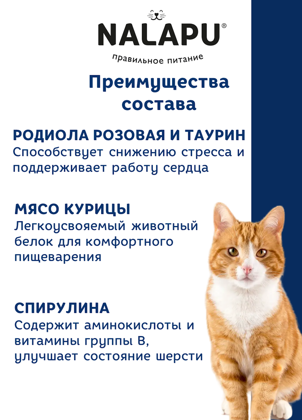 Корм для кошек NALAPU Sterilized для стерилизованных с говядиной в желе 77г - фото 4