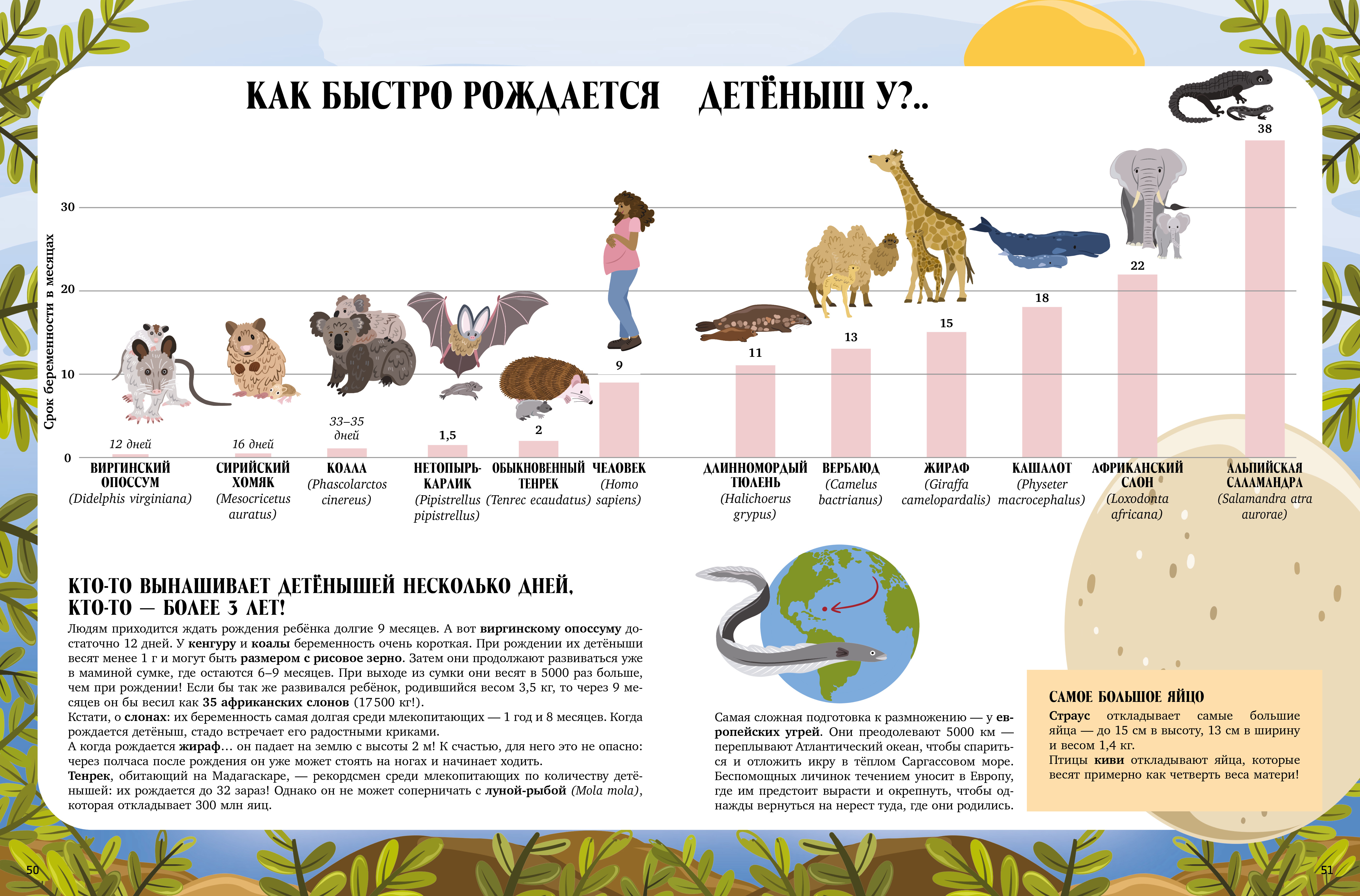 Книга Clever Большая энциклопедия CLEVER - фото 6