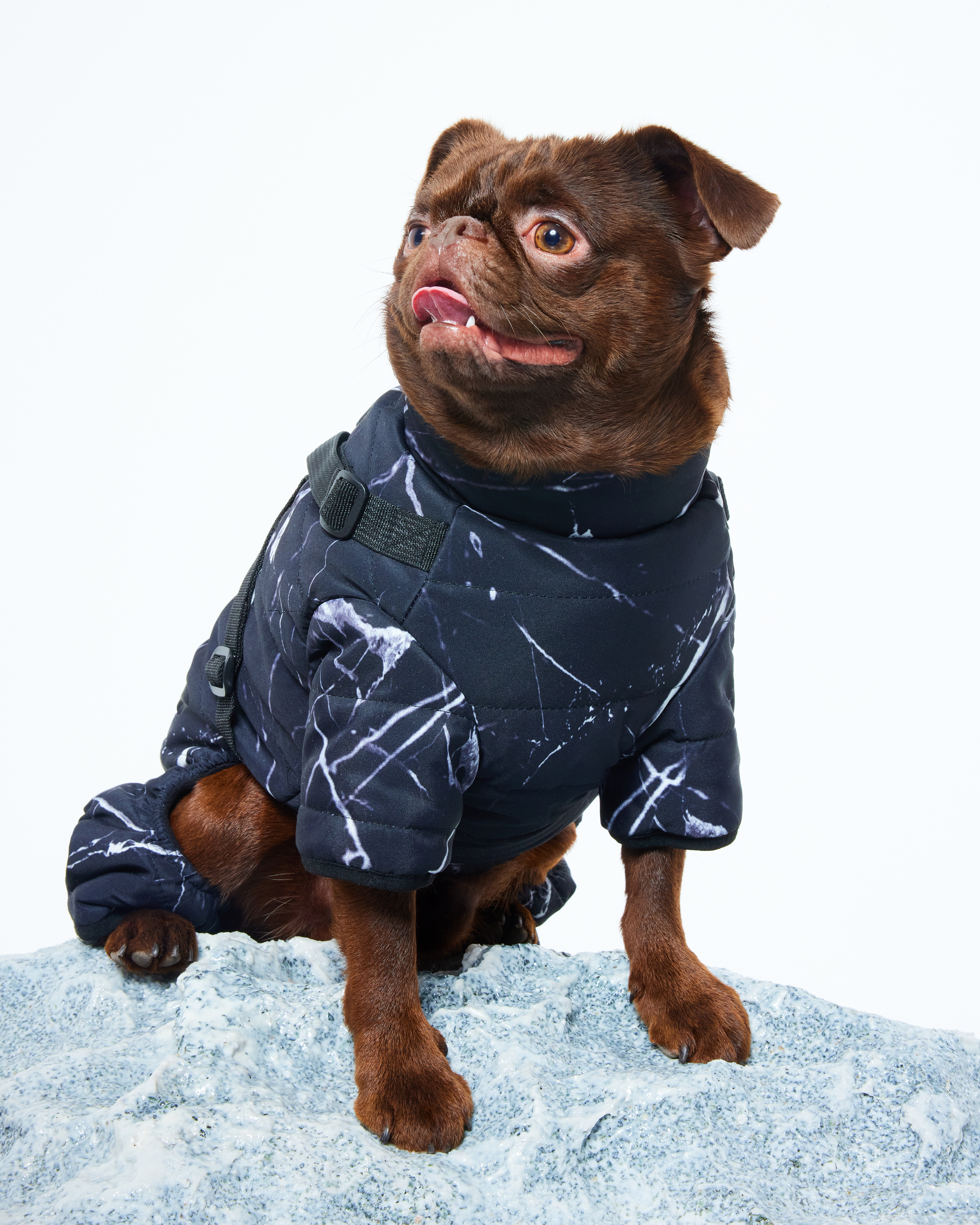 Комбинезон для собак и кошек Зоозавр - фото 1