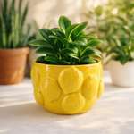 Ваза ё Лимон большая