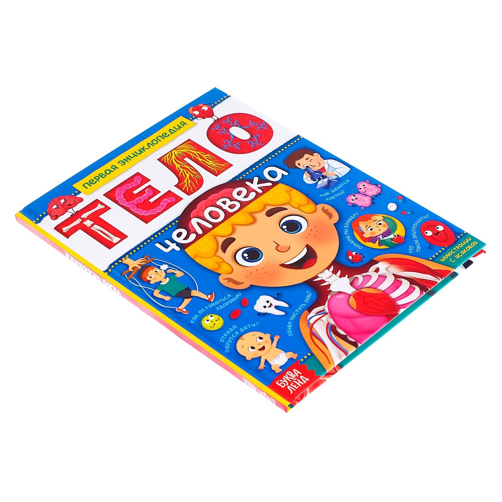 Энциклопедия Буква-ленд в твёрдом переплёте Тело человека 48 стр - фото 11