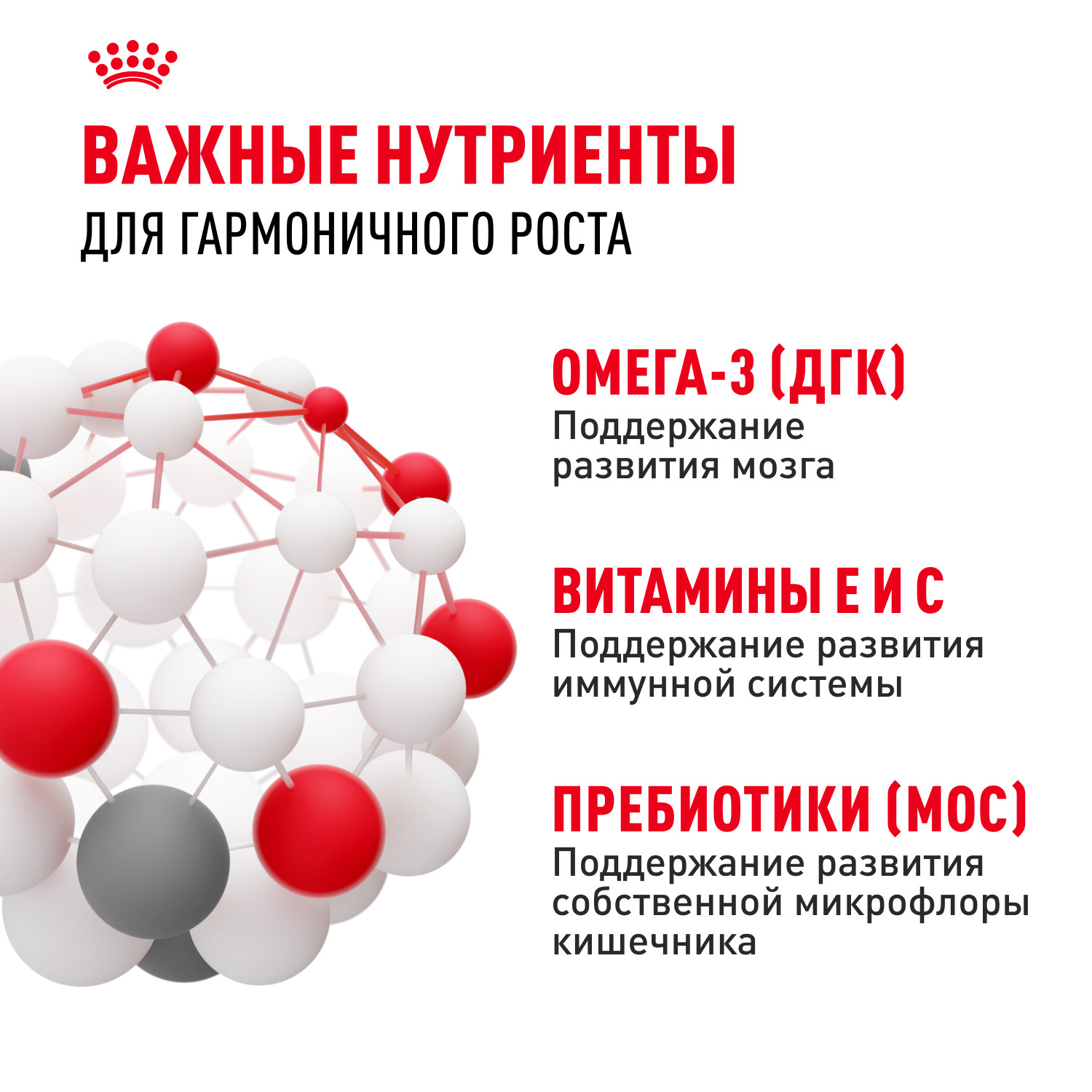 Корм для щенков ROYAL CANIN средних пород 2-12 месяцев 3кг - фото 5