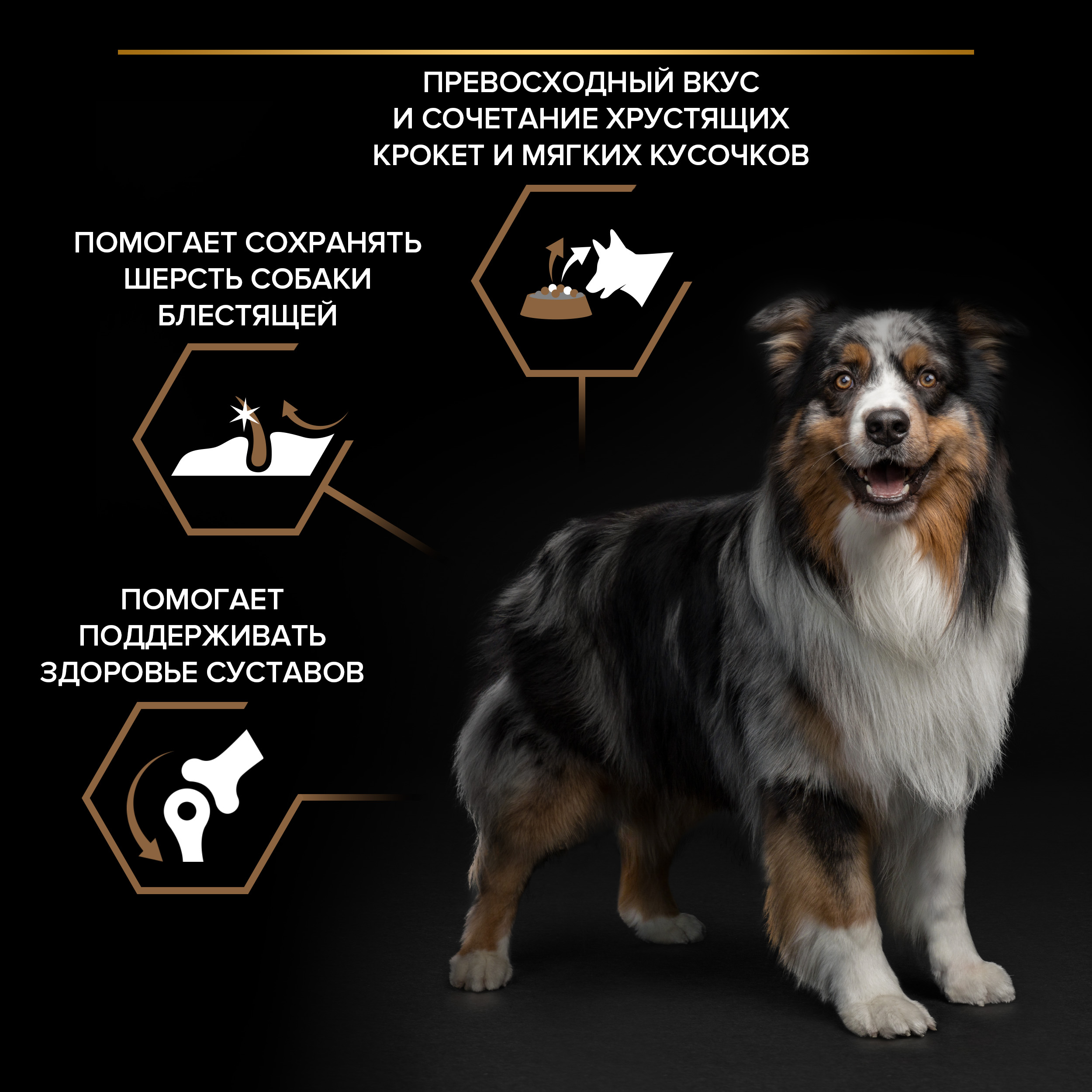 Корм сухой для собак PRO PLAN DUO DELICE 10 кг с говядиной для средних и крупных пород - фото 5