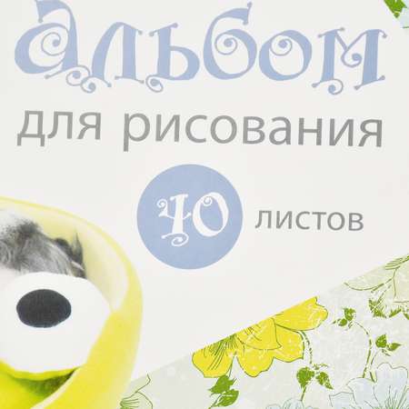 Альбом ErichKrause А4 40 лист. в ассортименте