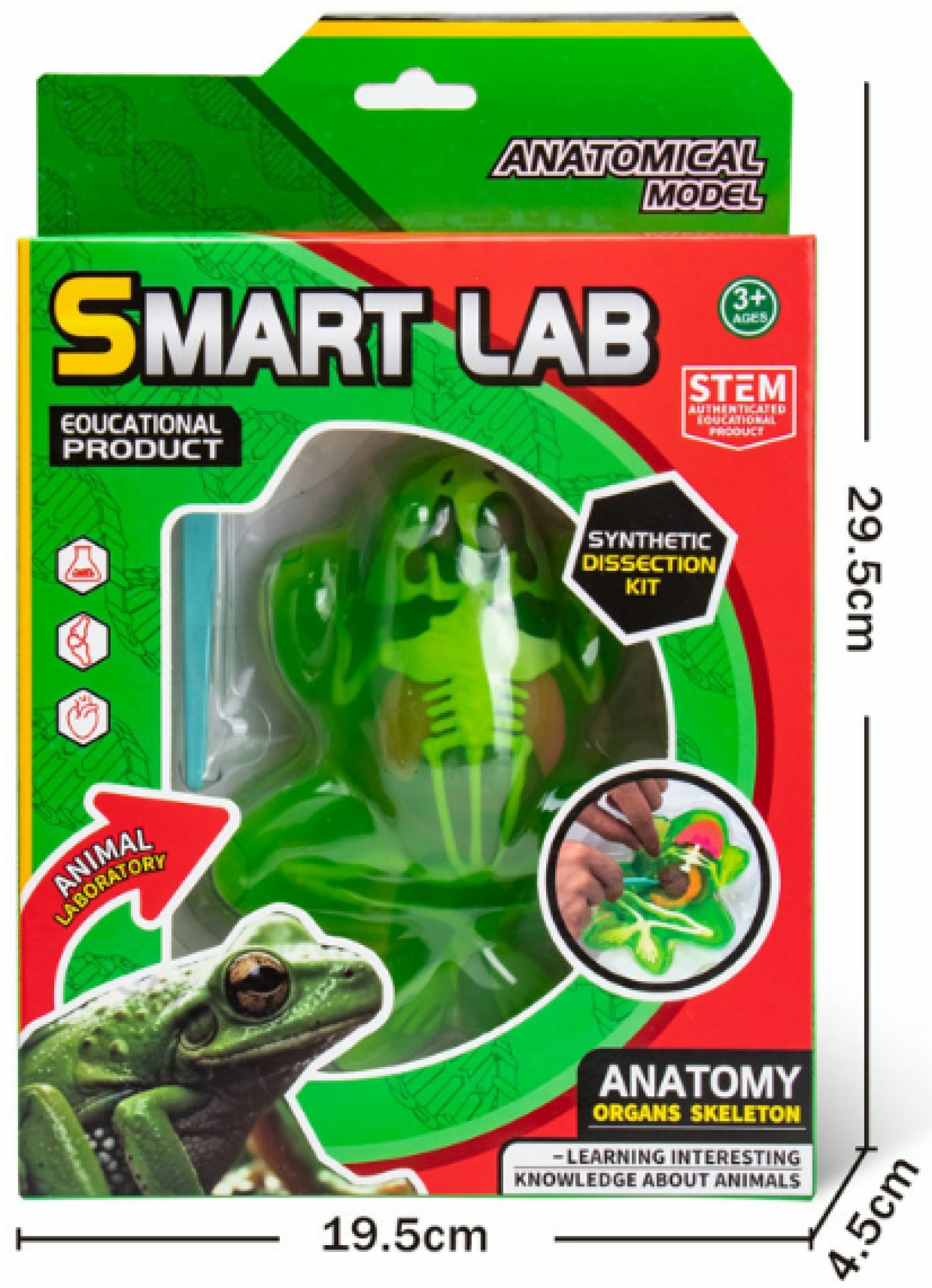 Набор для опытов 1TOY Лягушка - фото 1