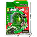 Набор для опытов 1TOY Лягушка