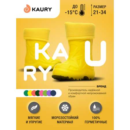 Резиновые сапоги KAURY