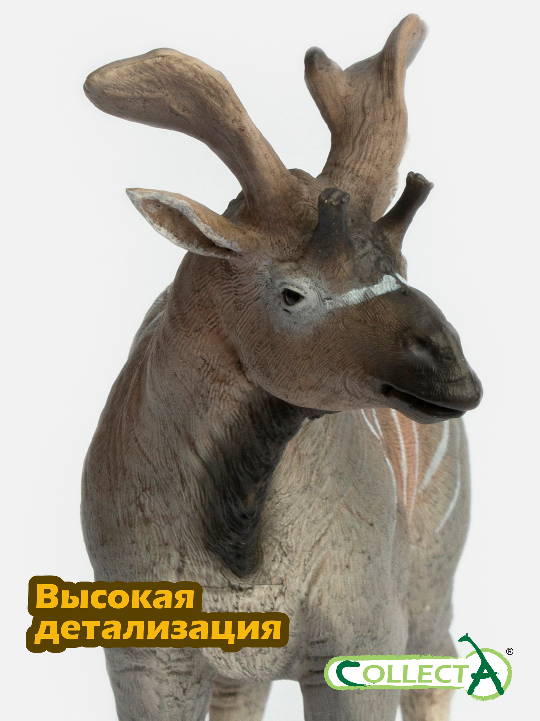 Фигурка Collecta Сиватерий гигантский 15.8 см - фото 3