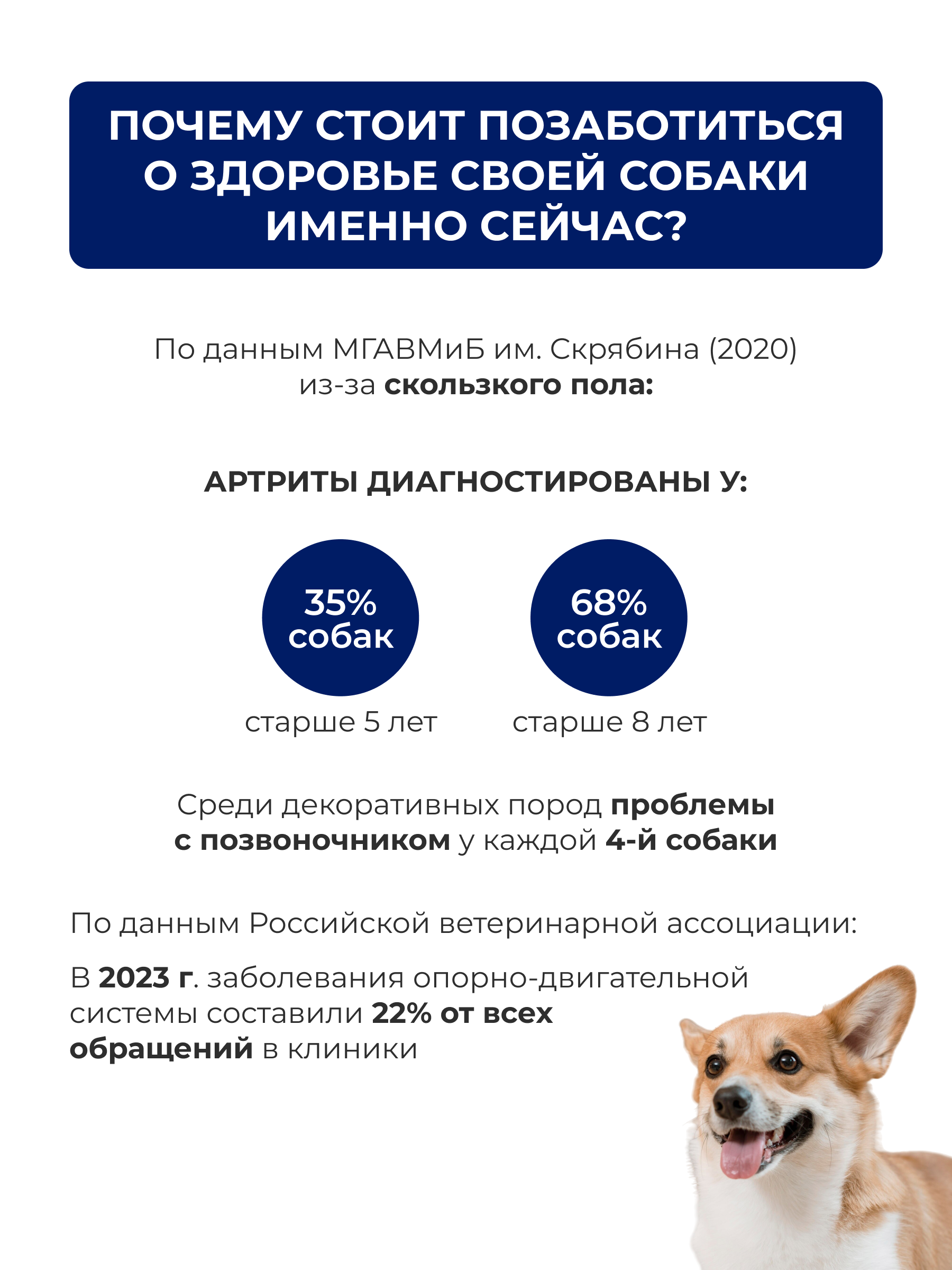 Коврик для животных Parklon Cushion 140х100х0,5см - фото 2