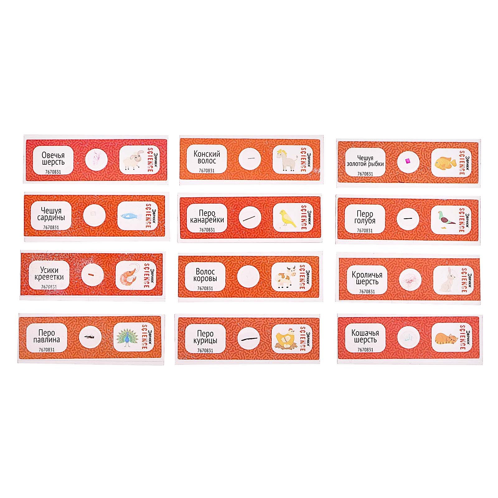 Набор препаратов Эврики Животные - фото 9