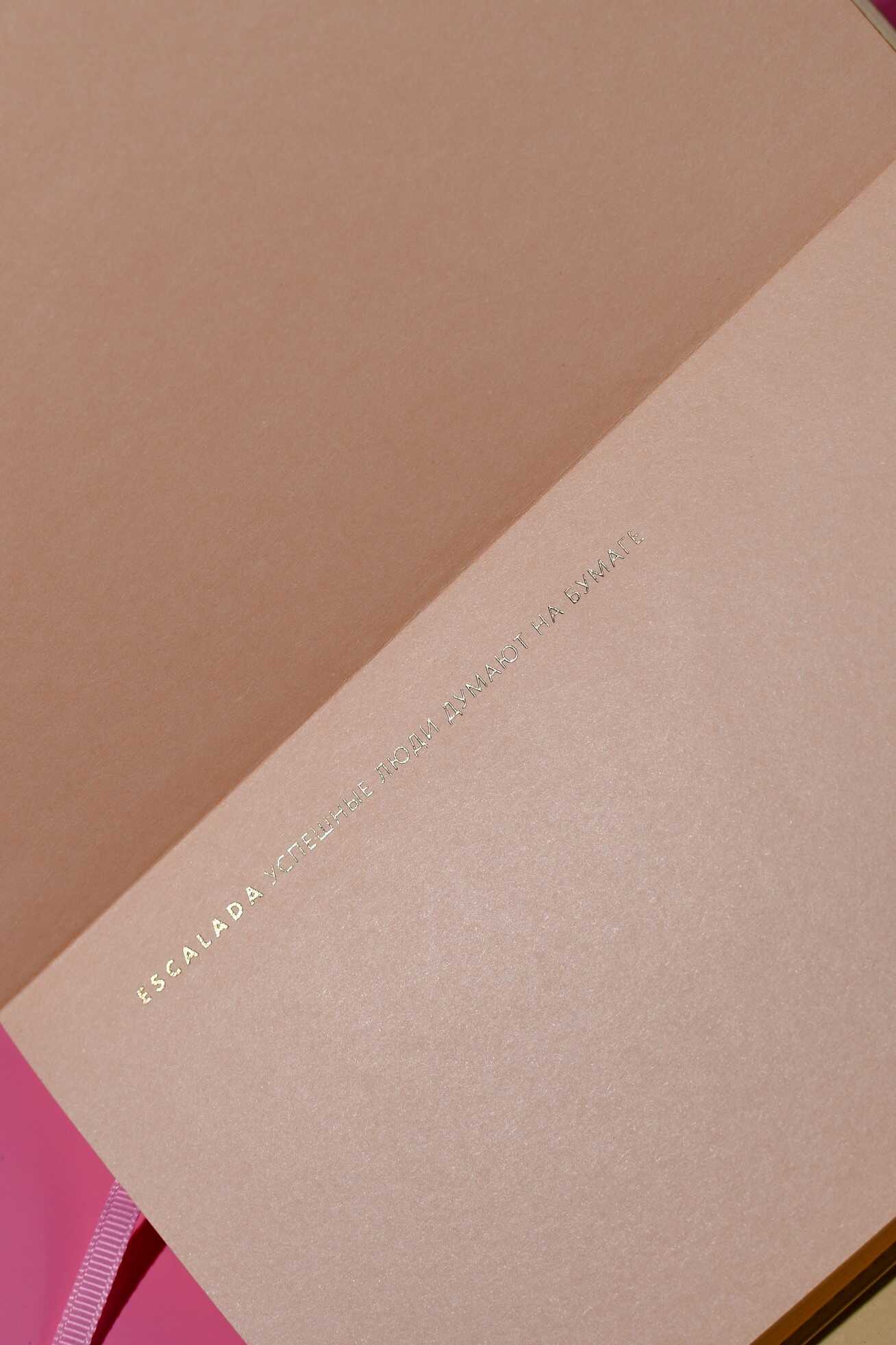 Ежедневник Феникс + ESCALADA 120 лист. - фото 14