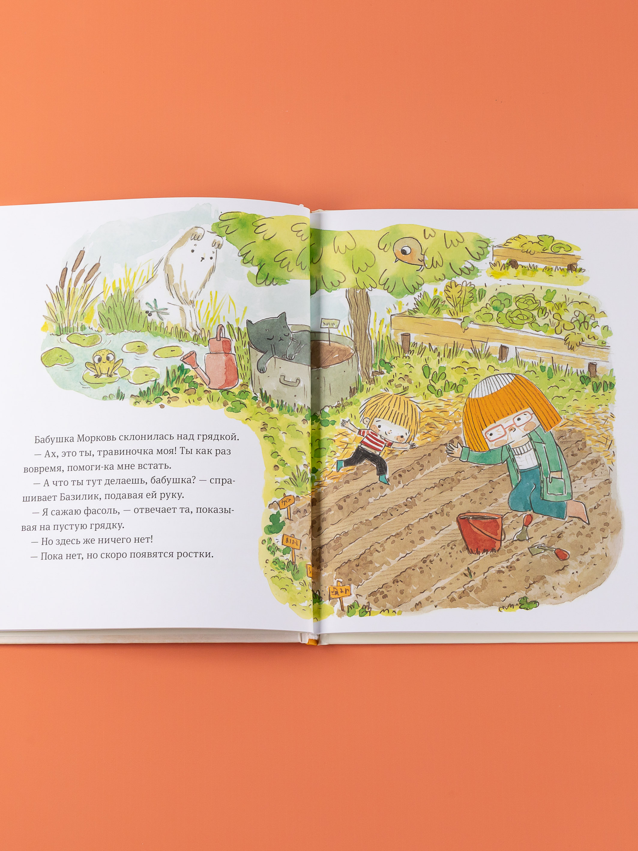Книга Альпина. Дети В саду Базилика Как появляются новые растения - фото 10