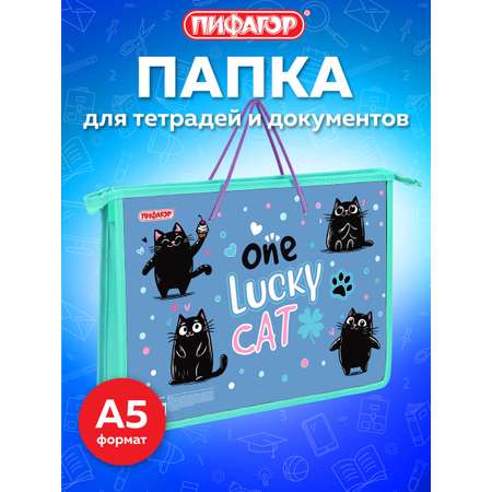 Папка для тетрадей Пифагор А4