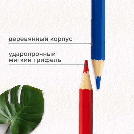 Карандаши цветные Brauberg 100 шт.